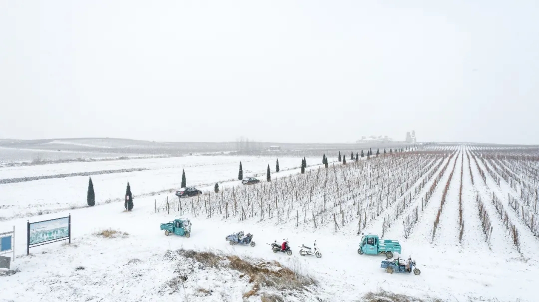 九頂莊園 | 雪，是自然送給大地的情書