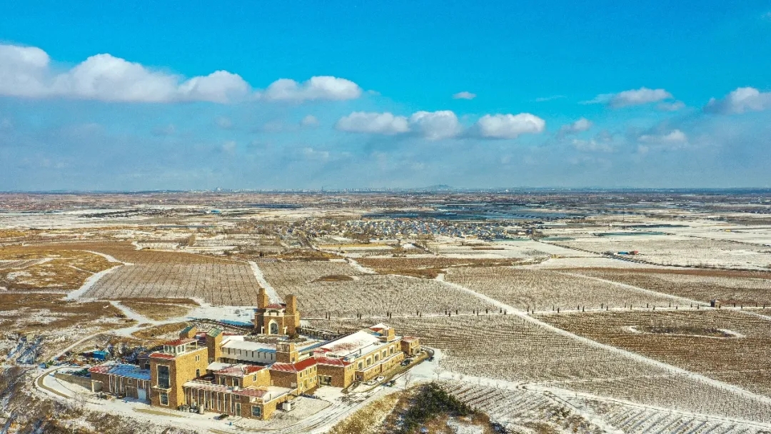 九頂莊園 | 雪，是自然送給大地的情書