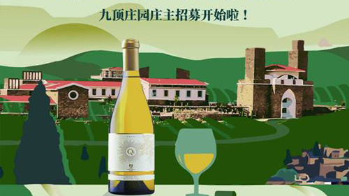 九頂莊園莊主招募開始啦！